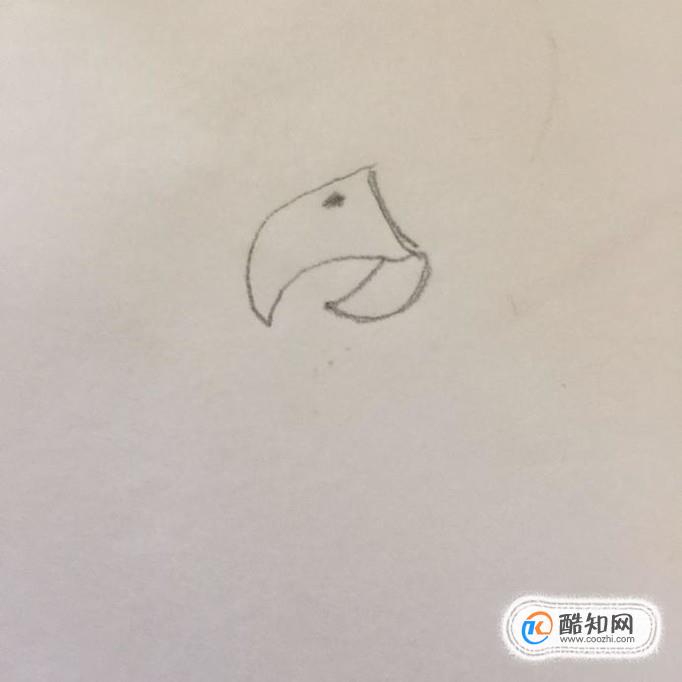 如何画火烈鸟 火烈鸟简笔画教程
