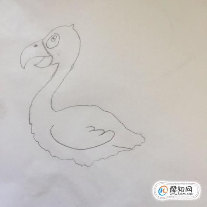 如何画火烈鸟 火烈鸟简笔画教程