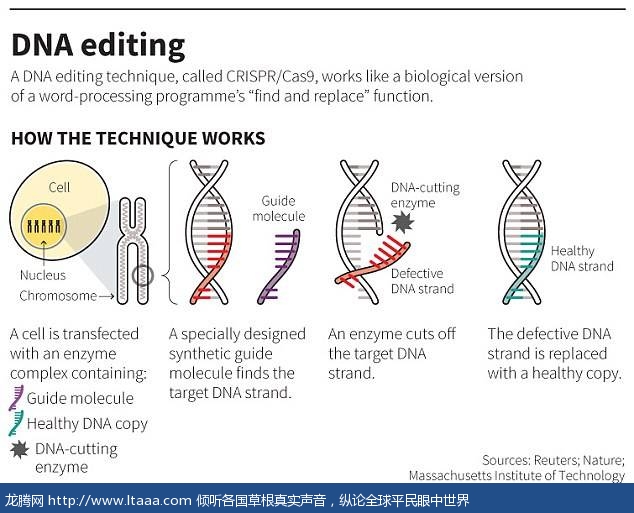 The CRISPR/Cas9 technqiue uses tags which identify the location of the mutation and an enzyme which acts as tiny scissors to cut DNA in a precise place allowing small portions of a gene to be removed