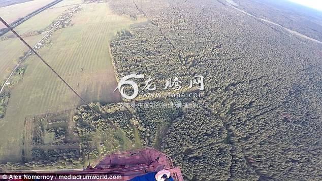 Bird's-eye view: Footage from the top of the tower shows the great expanse of forest below 