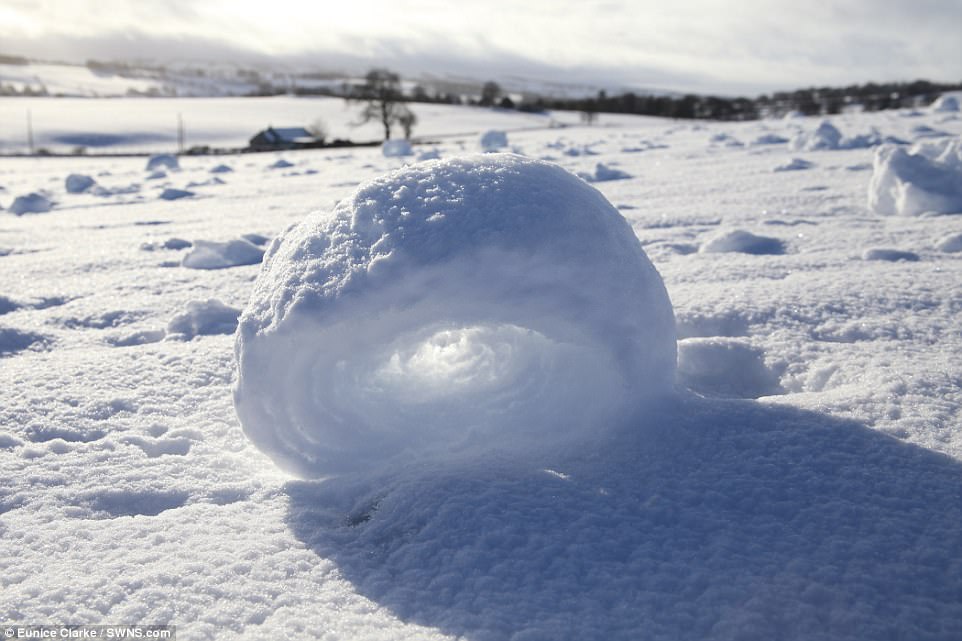 The natural sculptures roll up in the style of a tumbleweed or a hay bale and leave a trail behind them showing how they were made. They are delicate and crumble completely at the slightest touch