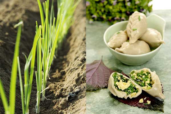 春天吃这10种食物 美味又养生