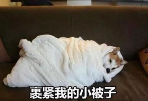 寒潮侵袭！英国人如临大敌，却遭北欧加拿大网友无情嘲笑