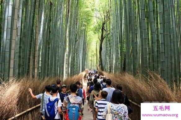 盘点旅游景点的理想与现实，看一次再也不想去