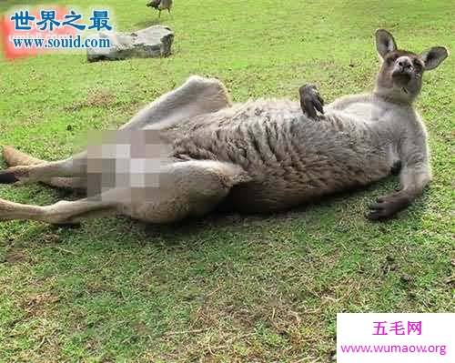 你绝对接受不了的16个冷知识，看完已不相信地球