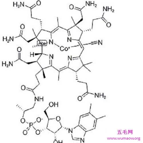 维生素B对人体有什么好处，该怎样正确的补充维生素C