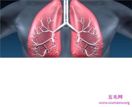 肺纤维化——它会让你的生活不再有色彩