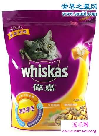 猫粮排行榜，皇家(给爱猫的精准定制)