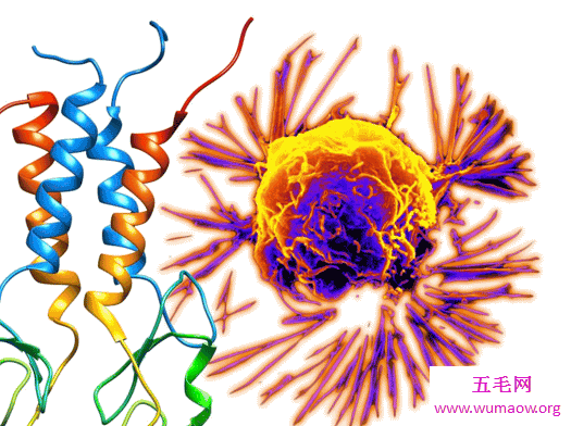 让人听而生畏的癌细胞  乳腺癌图片大汇总