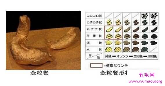 日本三大最重口味食物之女体盛宴，全裸处女搬上餐桌