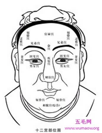 苹果下巴是什么样的 这种脸型好看吗为什么那么多人喜欢