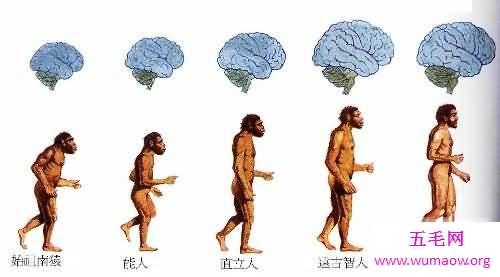 我国境内最早的人类是元谋人，距今170万年前