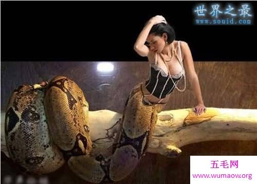 最真实的美女蛇图片，人头蛇身美人蛇(真相吓人)