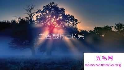  美文摘抄不仅仅只是简单的复制黏贴！