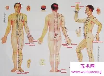 十二经络畅通无阻，包你长命百岁不是事！