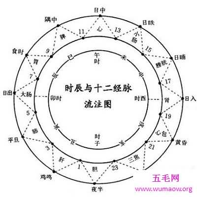 十二经络畅通无阻，包你长命百岁不是事！