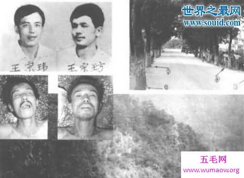 中国杀人犯排行榜，杨新海三年杀伤100多人