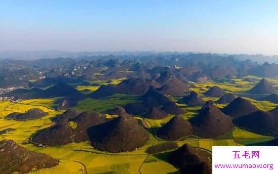 世界最大天成花园，云南罗平80万亩油菜花田