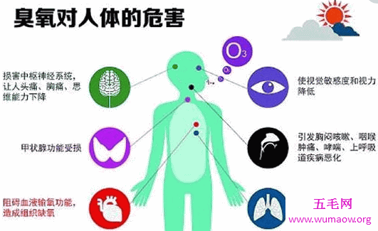 你不知道的温室效应的危害！还不快快行动！