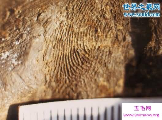 世界上人类最早的指纹，7000年前女人或小孩