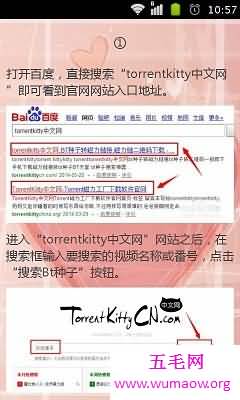 电影要会员才能看怎么办？找kitty torrent没错的