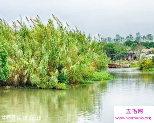 当年唱遍全国，如今仍是经典的样板戏——沙家浜