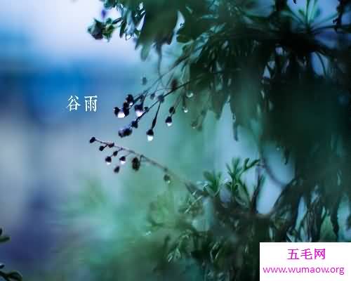 二十四节气中的第四个节气——谷雨