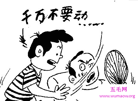 花蚊子叮完之后应该如何处理才能避免传染病