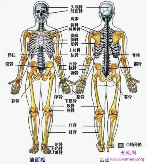 世界上最大最高的雪人，老汉堆出16米高雪人(图)