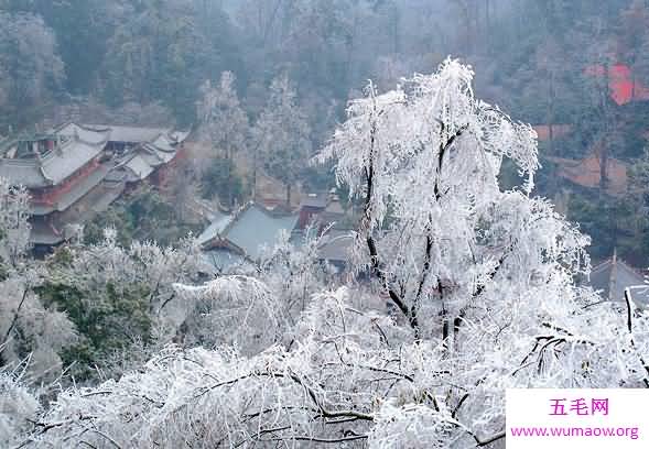 中国空气质量最好的城市，没有雾霾只有氧气(活百岁)