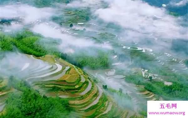 中国空气质量最好的城市，没有雾霾只有氧气(活百岁)