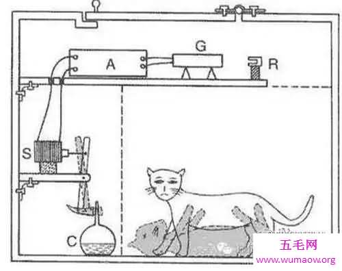 揭秘薛定谔的猫，一个无聊的实验(猫死不死铀说了算)