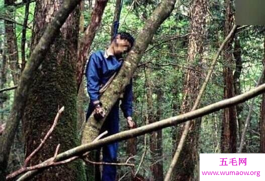 日本自杀森林青木原树海，进去的人都会自杀死亡