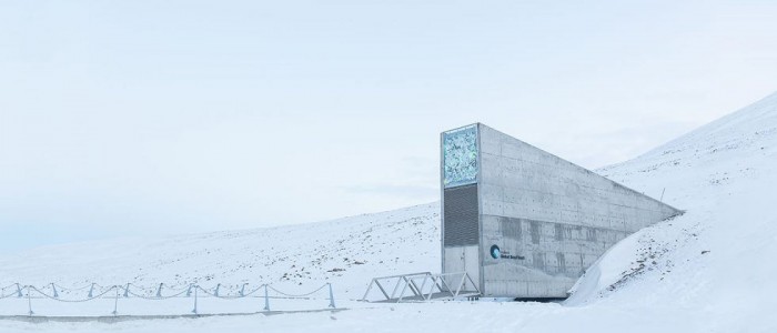 seedvault-980x420.jpg