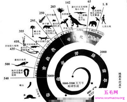 关于人类起源 你有没有问过我从哪里来