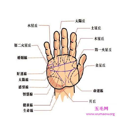 了解自己的精彩世界，看你的手相算命图解