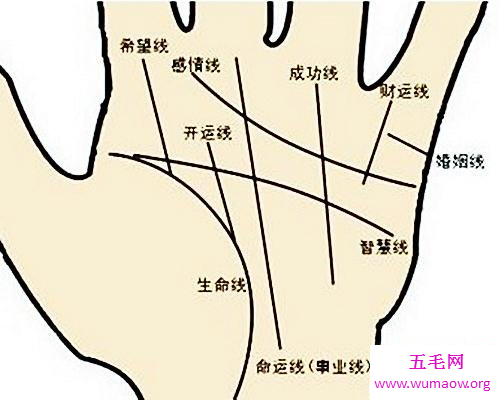 了解自己的精彩世界，看你的手相算命图解