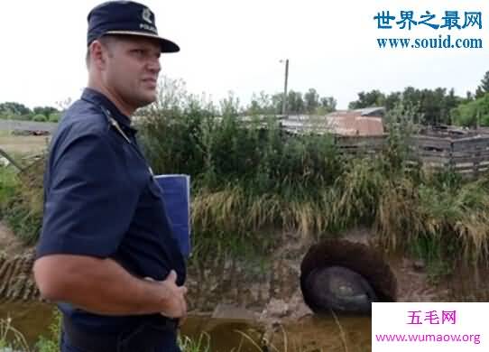 最诡异的雕齿兽，万年前消失的铁甲巨兽