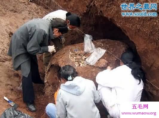 最诡异的雕齿兽，万年前消失的铁甲巨兽