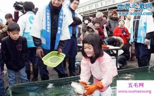 河豚之死寓意，日本人拼死都爱的致命美味