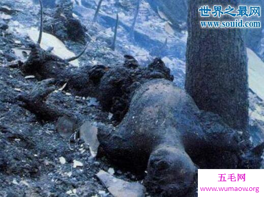 日航123空难，飞机维修不善导致520人死亡(视频纪实)