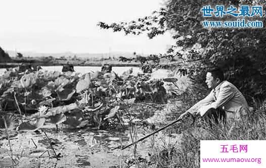 老舍之死真相，1966年老舍自沉北京太平湖