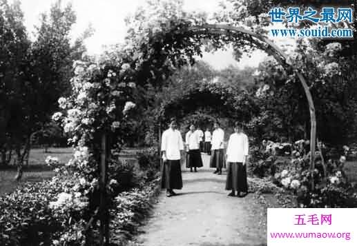 金陵十三钗是真实的吗，揭秘真实的历史故事