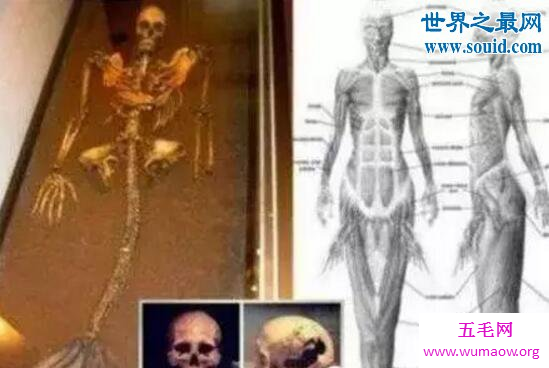 天狼星人竟是人类的祖先，智慧生物曾经造访地球