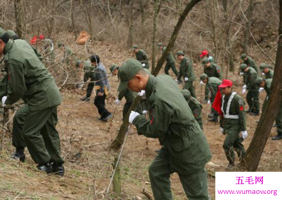 韩国三大未解谜案，华城连环杀人案(恐怖惊悚)