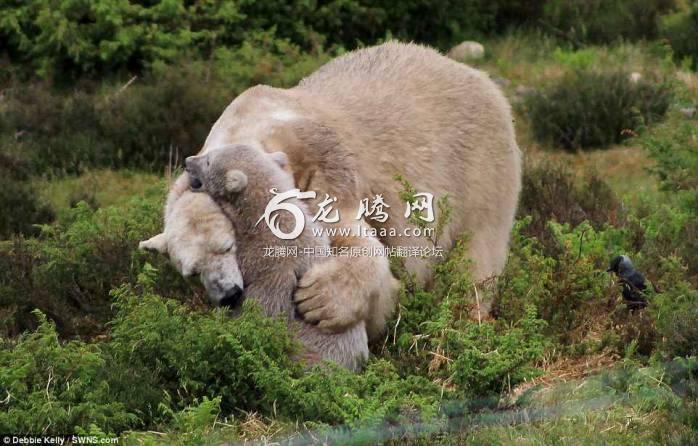 Hamish is embraced by his mum Victoria. The park is trying to reintroduce endangered species back into the wild as much as possible