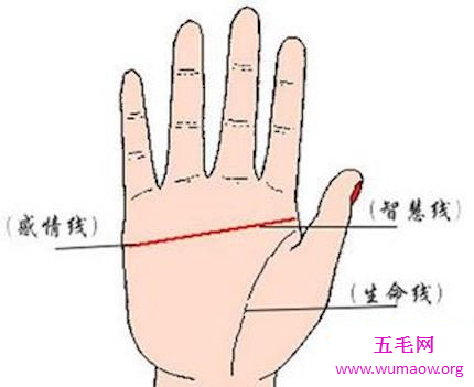 今日话题我们来说一说断掌的女人到底命好与不好