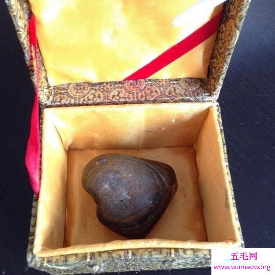女孩自称孙悟空后人，拿着祖传灵石猴毛做DNA检测