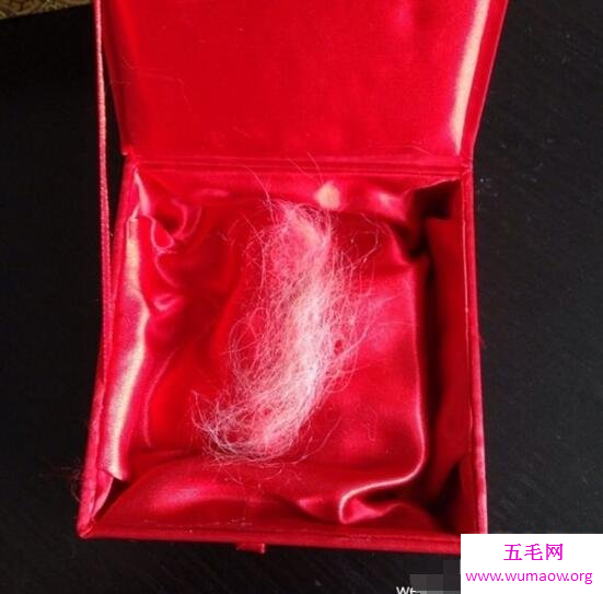 女孩自称孙悟空后人，拿着祖传灵石猴毛做DNA检测