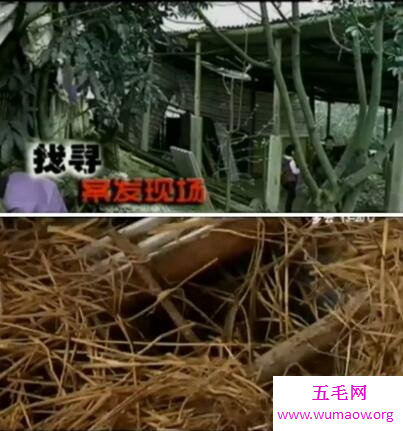 轰动全国的福州性奴案，竟将2名女子关狗窖当性奴